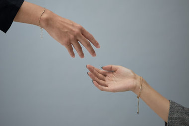 WEB LIMITED COLLECTION