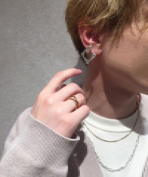 SepiaBrownGold × Silver